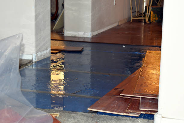 Professional Water Damage Restoration technician working in Herman, NE